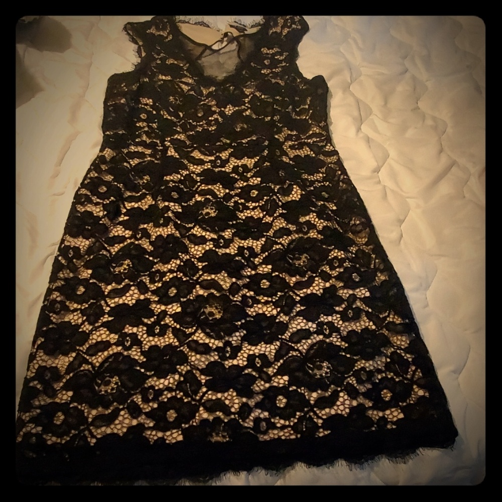 Dress below the knees